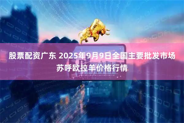股票配资广东 2025年9月9日全国主要批发市场苏呼欧拉羊价格行情