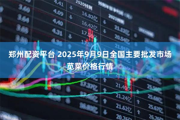郑州配资平台 2025年9月9日全国主要批发市场苋菜价格行情