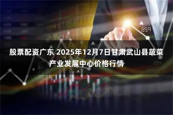 股票配资广东 2025年12月7日甘肃武山县蔬菜产业发展中心价格行情