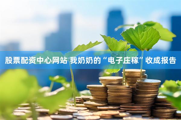股票配资中心网站 我奶奶的“电子庄稼”收成报告
